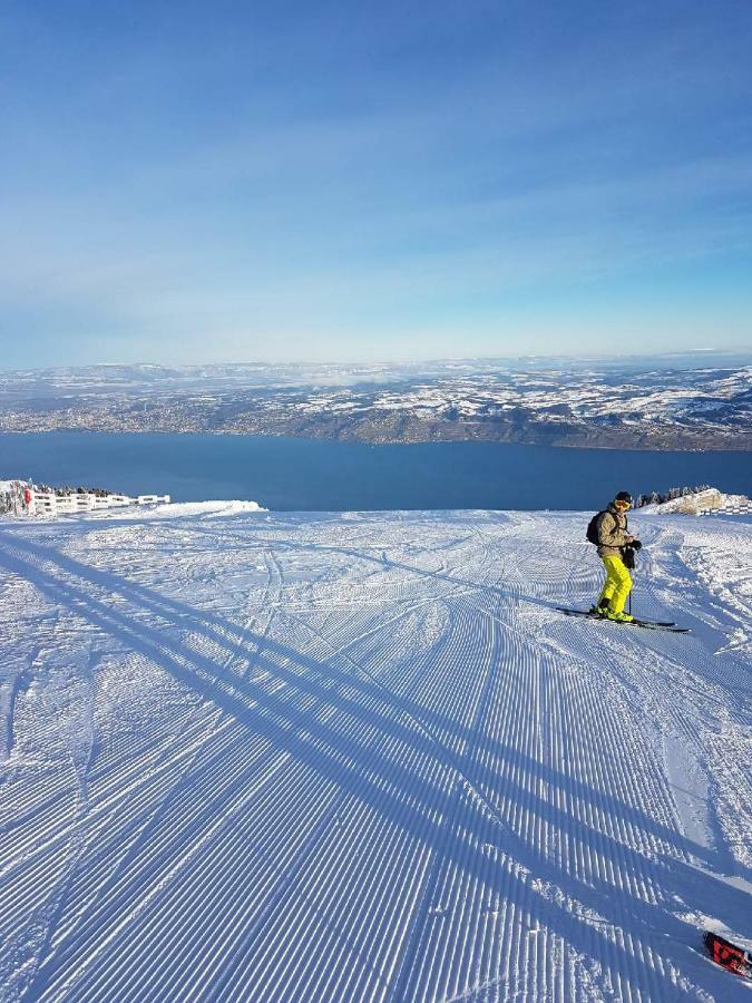 Chalet Le Telemark Thollon-les-Memises Eksteriør billede